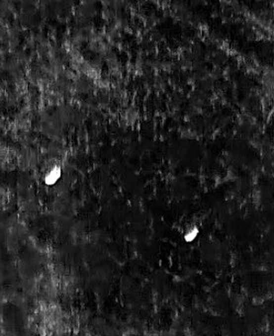 Thermal camera image showing two bright heat signatures against dark brush